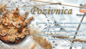 Tradicionalna "Izložba božićnjaka"