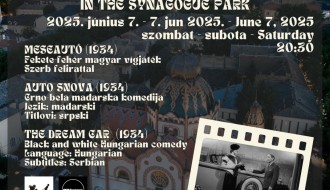 Bioskop na otvorenom u parku sinagoge