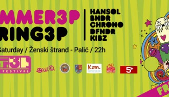 Summer3p Spring3p party