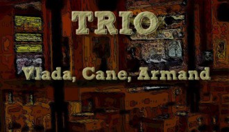 Acoustic trio - akustično veče