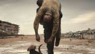 Italijanski film: Dogman