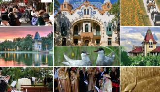 Javna prezentacija Nacrta Master plana PALIĆ 2015.