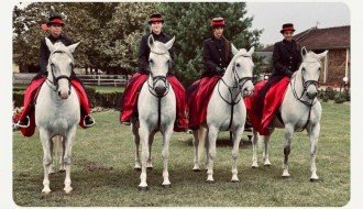 Novogodišnja priredba lipicanera