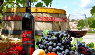 Degustacija vina podruma Mačkov