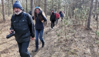 Pešačenje Kelebijskom šumom