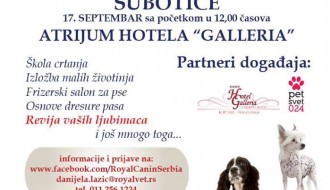 Pet happening Subotica 2016