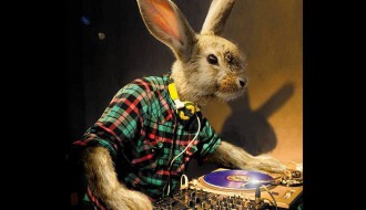 Easter party with Dj Bojan Lučić - Boxy