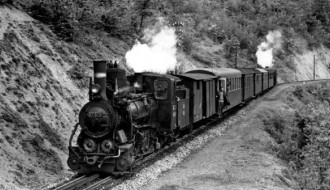 grupa " VOZ " na živo