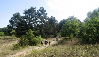 Proleće u peščari