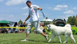 XIX Međunarodna izložba pasa svih rasa