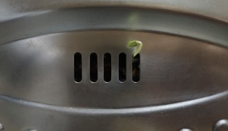 Jelena Grujičić: Home Is Where Your Heart Beats