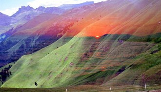 Gostovanje umetnika iz Crne Gore - Negovana divljina