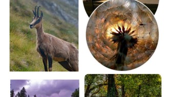 Izložba fotografija: Lepota u očima prirode