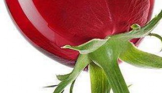 Žurka sa CAPRI bendom