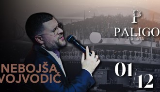 Nebojša Vojvodić - Paligo Palata