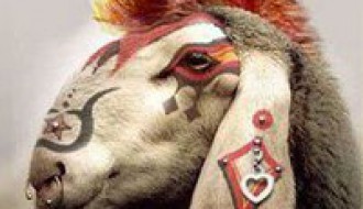 TaTToo / PirSing Party