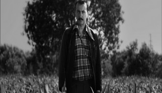 FEF Palić - Takmičarski program