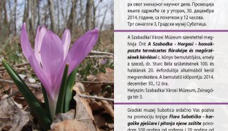 Flora Subotičko - horgoške peščare i pitanja njene zaštite