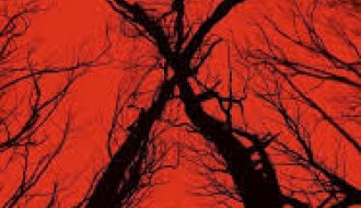 Film: Povratak veštice iz Blera