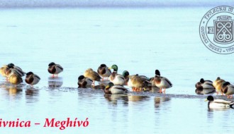 Voda koja život znači