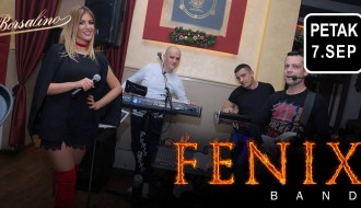 Fenix band