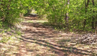 Šetnja zdravlja sredom