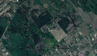 Pešačenje sredom kroz Subotičku peščaru