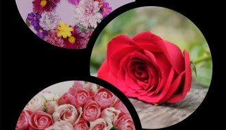 8. Mart Restoran Shiraz