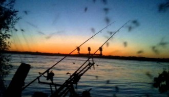 Otvoreni Kup Srbije u ribolovu na šarane dubinskom metodom