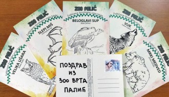 Program Zoo vrta na Paliću povodom Dana Subotice