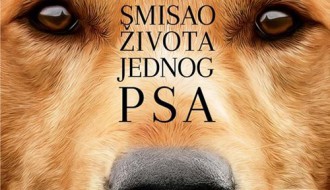 Film: Smisao života jednog psa