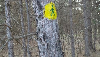 Redovna šetnja zdravlja sredom