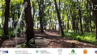 7.83 Hz – Piknik i koncert u šumi