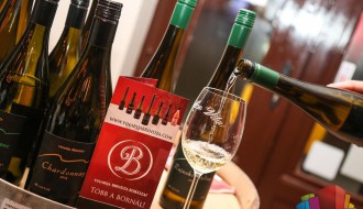 Degustacija vina Brindza