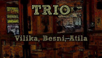 Acoustic trio - akustična svirka