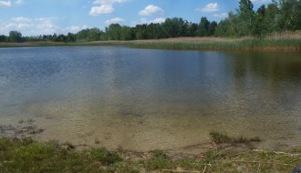 Redovna Šetnja Zdravlja