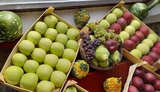 XII Tavankutski festival voća i autohtonih rukotvorina