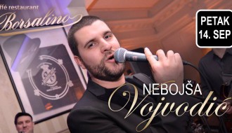 Nebojša Vojvodić