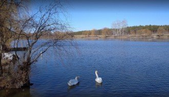 Redovna šetnja zdravlja RŠZ