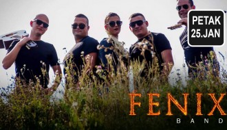 Fenix band