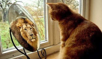 Radionica: Slika o sebi i samopouzdanje