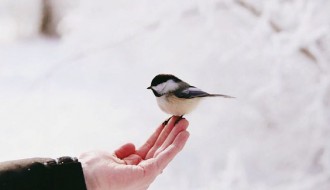 Radionica: Šta osećam, šta mi se dešava?