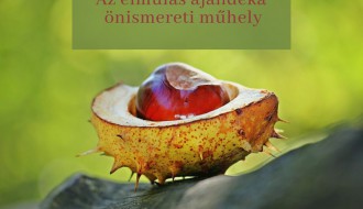 Radionica: Az elmúlás ajándéka - önismereti műhely