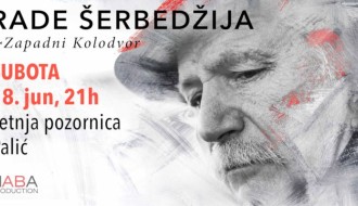 Koncert Radeta Šerbedžije