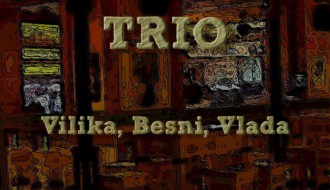 Acoustic trio - akustična svirka