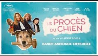 Film: Pas na sudu