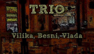 ACOUSTIC TRIO - Akustična svirka