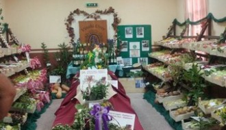 Berbanski dani - Hajdukovo