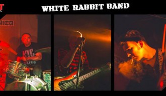 White rabbit band