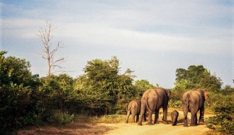 Predavanje: Klub putnika: Šri Lanka